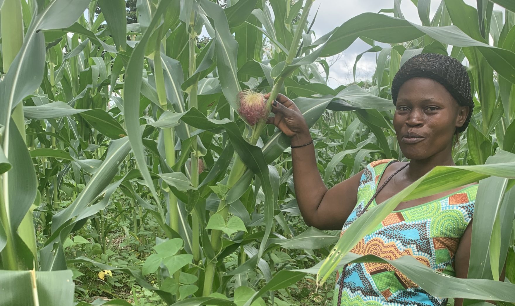 Woman standing among corn plants, Cameroon.