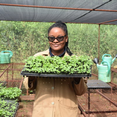 A Black woman with sunglasses holding a tray of crops