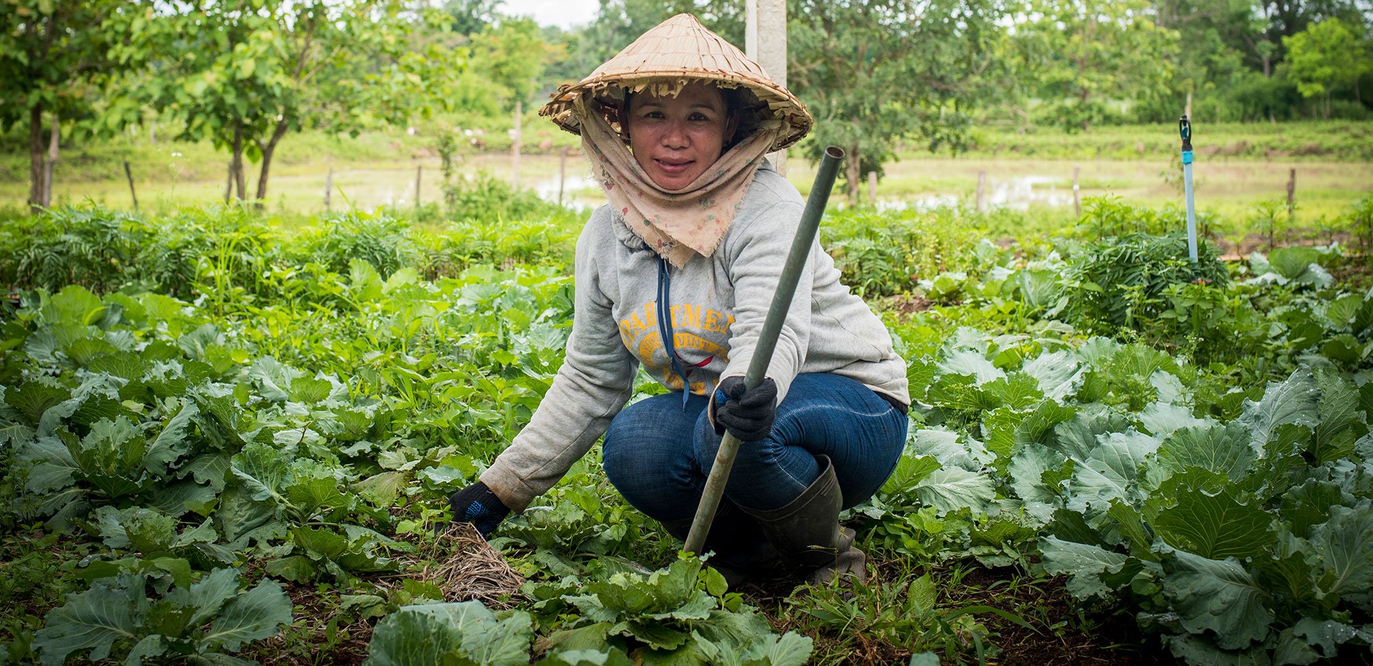 A woman working in a garden