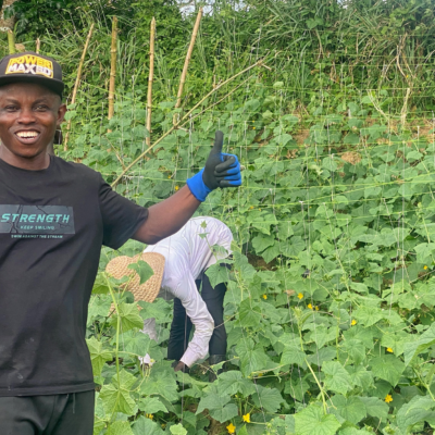 Nigeria Helping Cameroonian refugees develop crops and skills