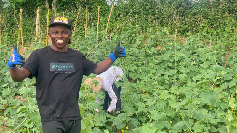 Nigeria Helping Cameroonian refugees develop crops and skills