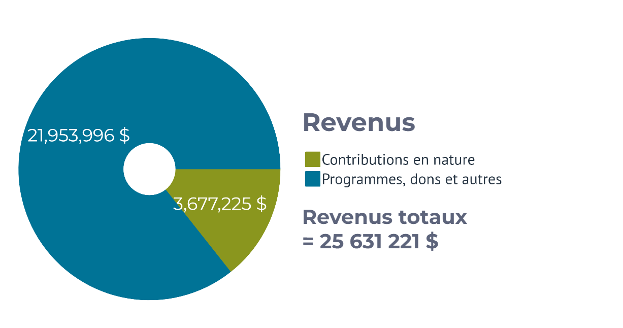 Revenus Cuso International 2023-2024