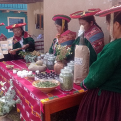 Women in Peru strengthen their knowledge in traditional Andean medicine and increase their family income