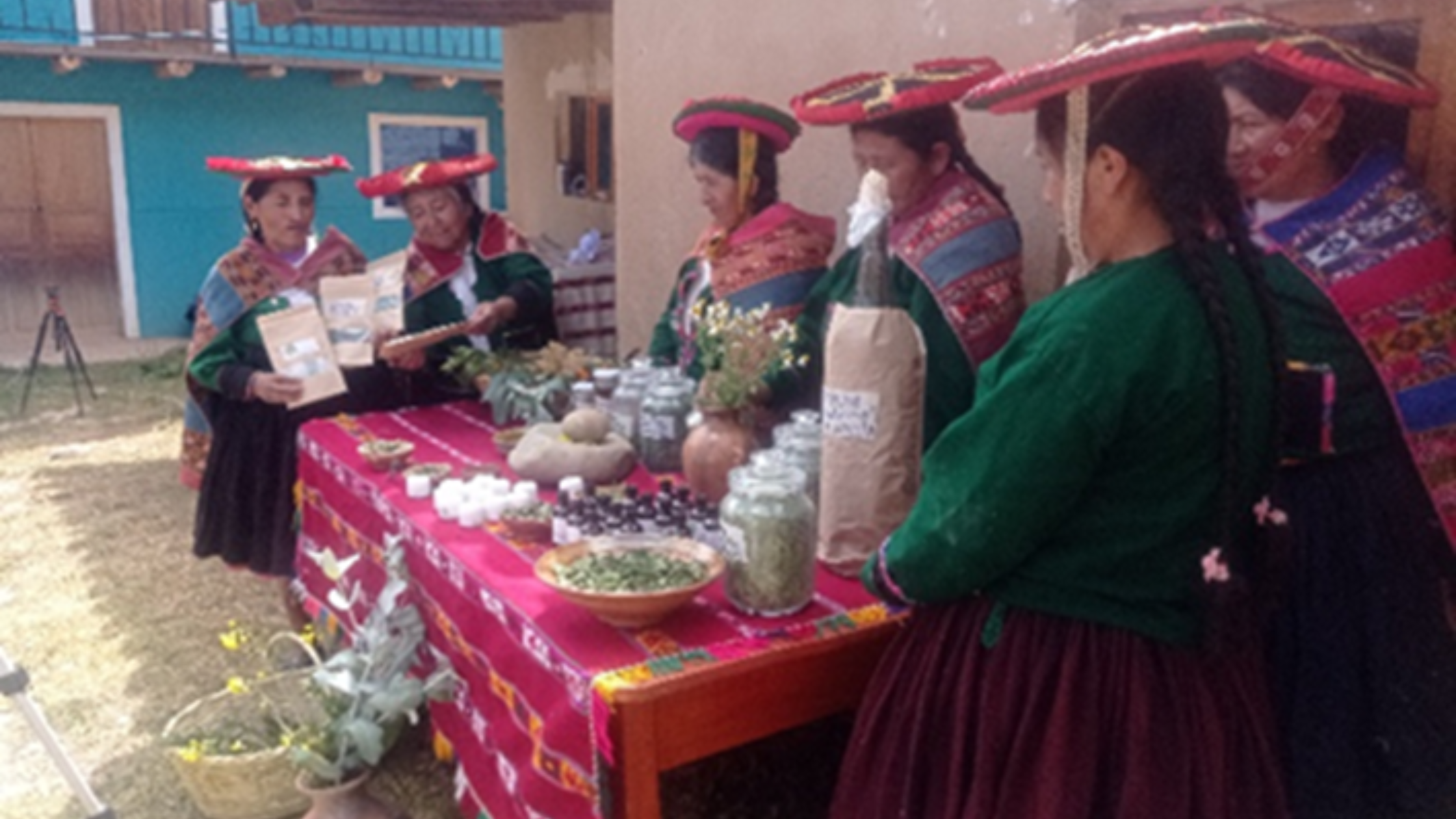 Women in Peru strengthen their knowledge in traditional Andean medicine and increase their family income