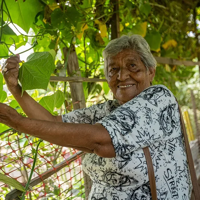 Elderly woman in a patterned shirt smiles as she tends to plants in a lush, green Cuso International garden.