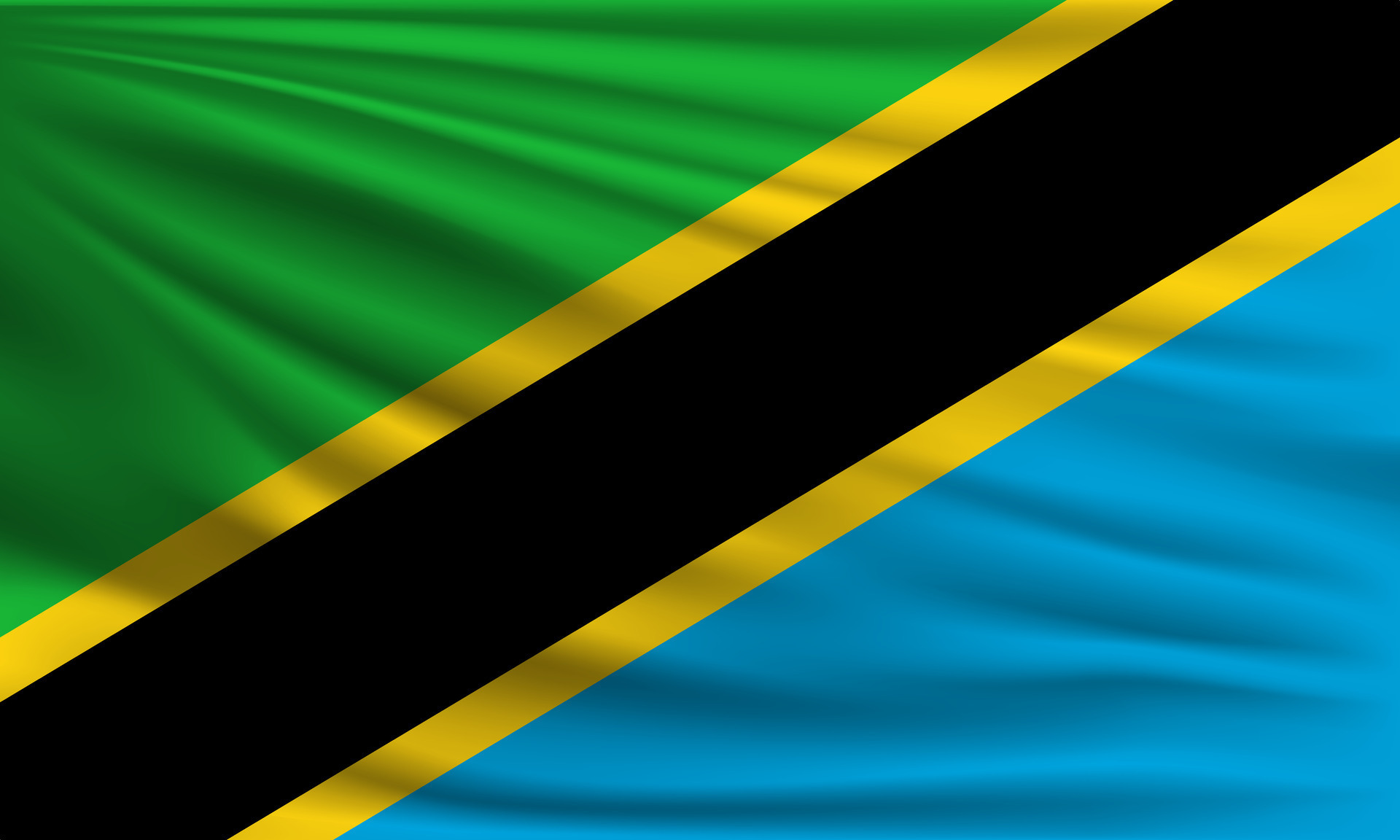 flag-of-tanzania-vector