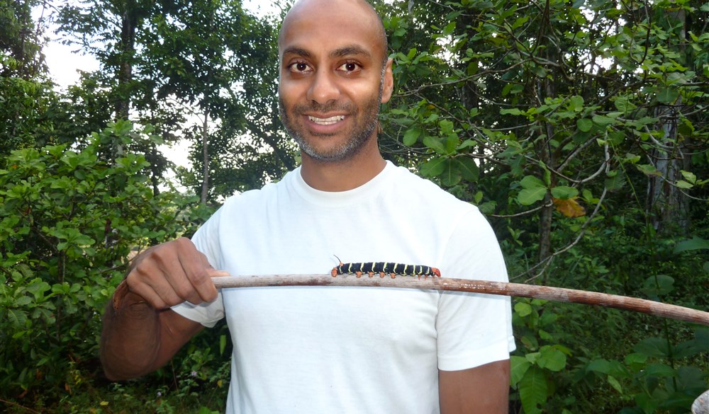 Man holding stick with caterpillar on it