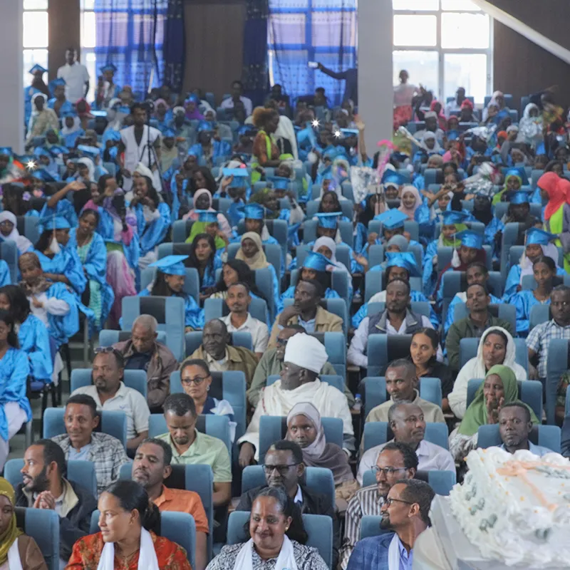 Diplômés alignés sur scène lors d’une cérémonie officielle de remise des diplômes